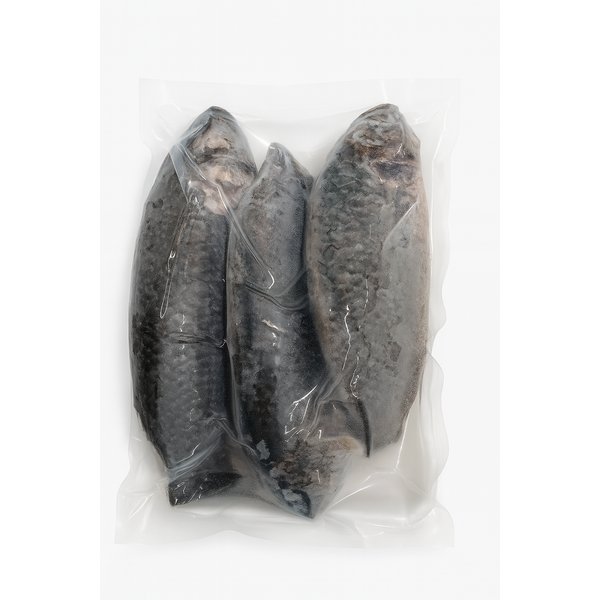 Climbing Perch Whole