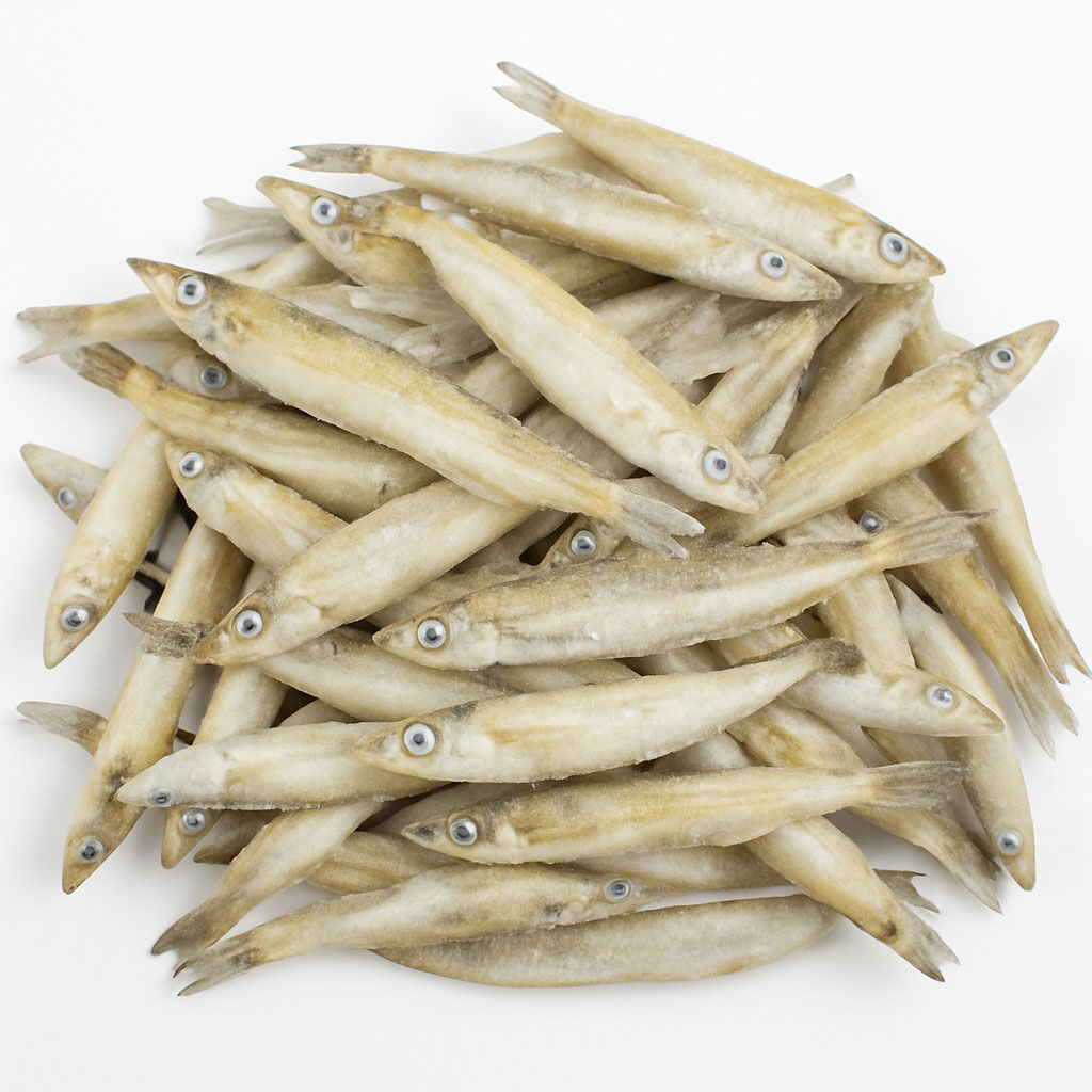 Smelt Fish Whole