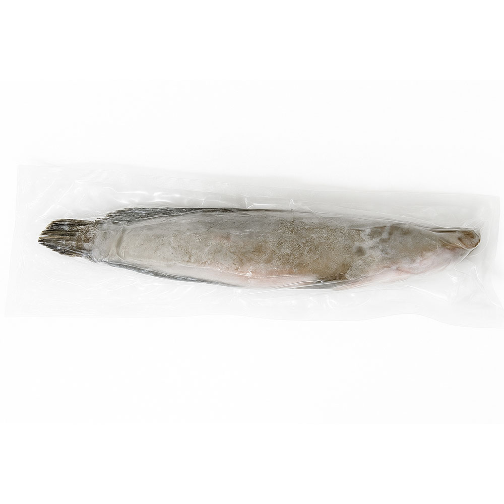 Mudfish Whole